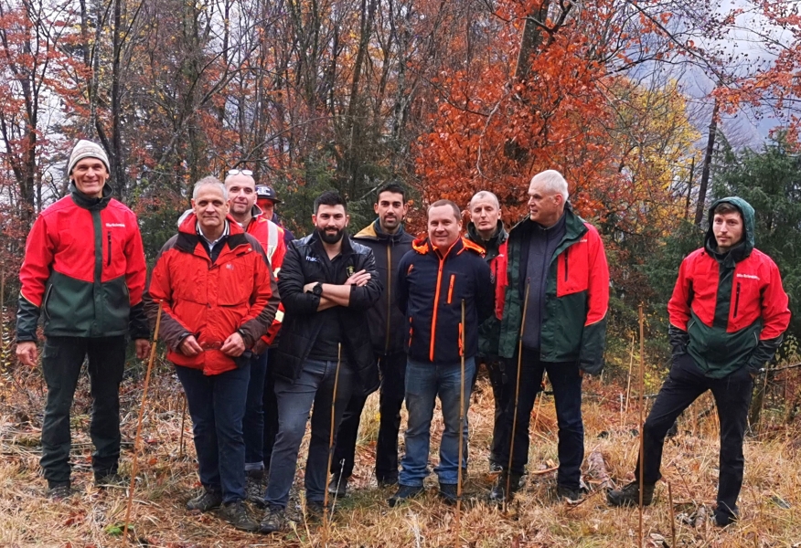 Photo de l'équipe venue pour cette journée de plantation. Ils sont dans la forêt et ils sourient. Les arbres sont de couleur jaune et orange. 